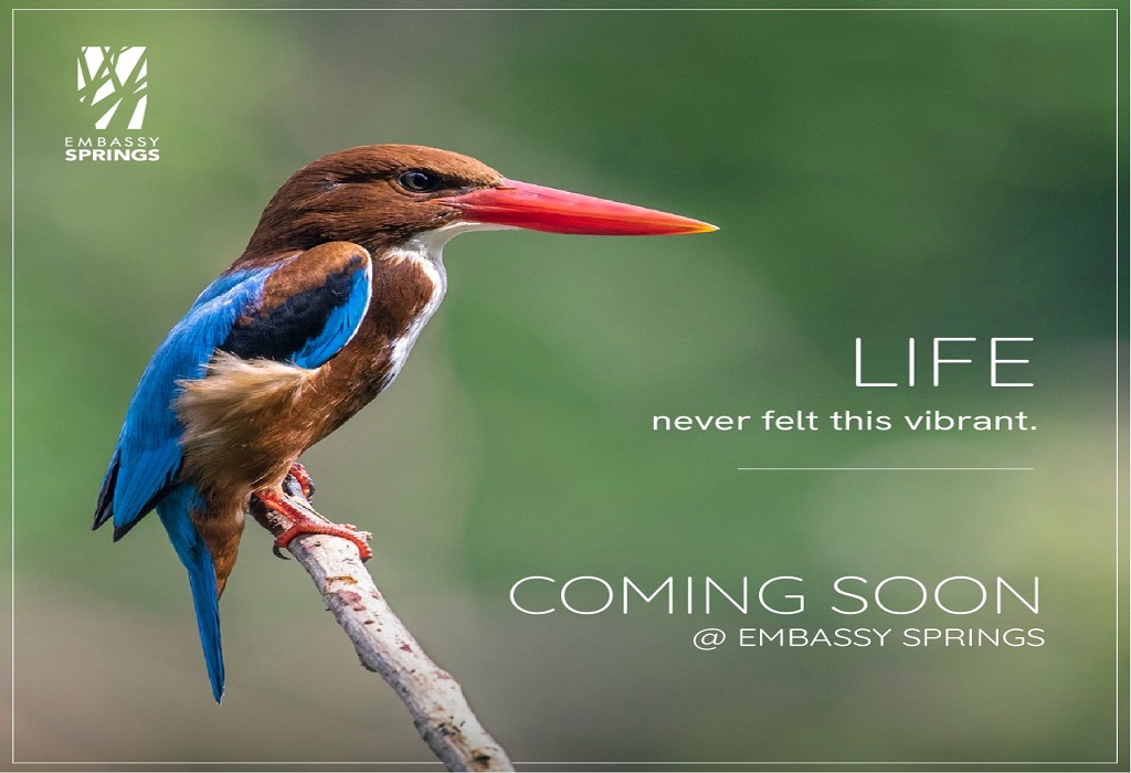 Embassy Verde Bangalore